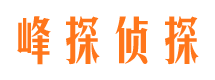 中方市场调查